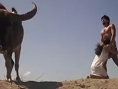 Menina ativa em meias arrastão e cavalga sexo com padrasto brasileiro em um pau de pé como um louco